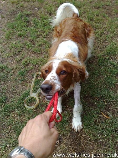 2010-08-07 05.jpg - I HATE MY LEAD!!!